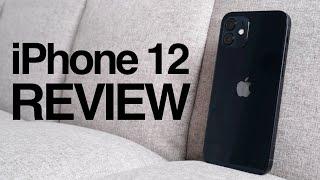 iPhone 12 Black Long Term Review