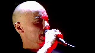 THE THE  - THIS IS THE DAY Disinfected version live
