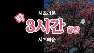 딱 3시간 알람countdown timer_시끄러운 버젼