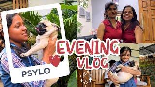 Psylo ഞങ്ങളുടെ കൂടെ  സ്കൂളിലേക്ക്  Evening Vlog