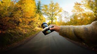 Relaxing Nature Photography in Autumn Forest POV