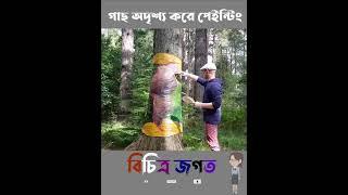 গাছ অদৃশ্য করে ছবি আঁকা দক্ষতা #shorts