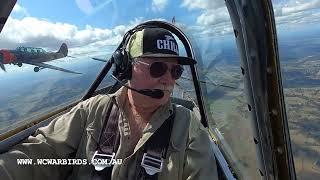 Rays Yak-52 Flight Aerobatics and Combat Formation