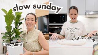 WEEKEND VLOG MAKING MOCHI GETTING NEW PLANTS SUNDAY INSPIRATIONS  MOMMY HAIDEE VLOGS