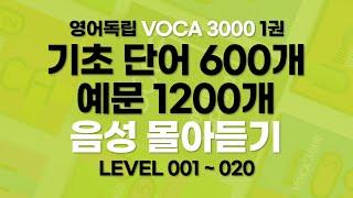 영어독립 VOCA 3000 1권 단어와 예문 몰아듣기. 단어와 예문으로 영어 기초 완성.