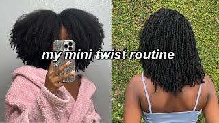 MY MINI TWIST ROUTINE ON STRETCHED NATURAL HAIR type 4