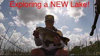 Searching for Bass on a New Lake I Lake Parker I Central FL