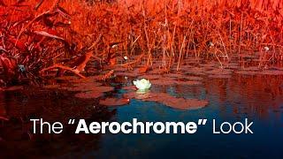 The BEST Infrared Filter IR CHROME  Digital Aerochrome