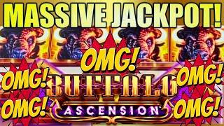 MASSIVE JACKPOT ON $3.00 BET OMG DOUBLE ARROW SUPER STAMPEDE BUFFALO ASCENSION Slot Machine