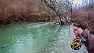 My First 20 Inch Trout of the YEAR Streamer Fly Fishing for Brown Trout