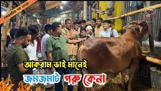 ডিজিটাল পদ্ধতিতে আকরাম ভাইয়ের গরু কেনা গাবতলী হাট জমে গেল। cow price in Bangladesh