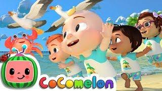 Sea Animal Song  CoComelon Nursery Rhymes & Kids Songs