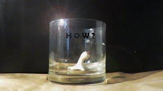 How the Homunculus moves in the Glass