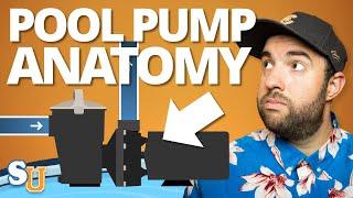 POOL PUMPS 101 How They Work and Troubleshooting Tips  Swim University