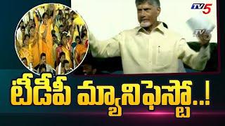 చంద్రబాబు ప్రకటించిన మేనిఫెస్టో TDP Manifesto Key POints  Chandrbabu  Mahanadu 2023  TV5 News