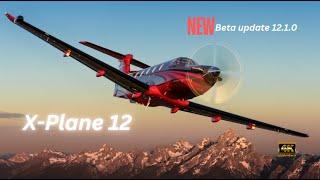 Exciting X-PLANE-12 Beta Update Unveiled - July 2024