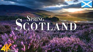 Spring Scotland 4K Ultra HD • Stunning Footage Scotland Scenic Relaxation Film with Calming Music.