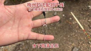 梅州钓法配短子线，水下鲫鱼吃饵是什么状态，水下高清呈现#分享交流钓鱼技巧