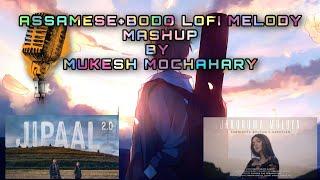 ASSAMESE+BODO LoFi melody mashup  Mukes Mochahary  Jakorua moloya  Jipaal 2.O