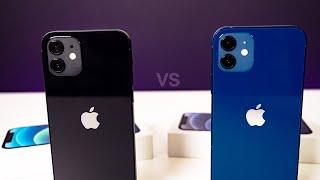 Blue & BLACK iPhone 12 Unboxing & Comparison