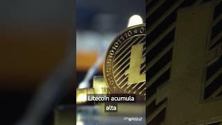 Litecoin Alta de 34%