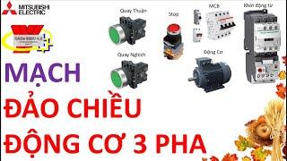 Mạch ĐẢO CHIỀU ĐỘNG CƠ 3 Pha Bằng Nút Nhấn Siêu Đơn Giản