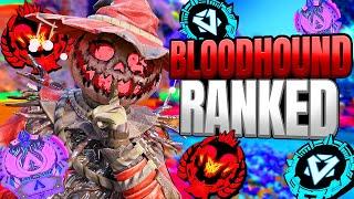 High Level Bloodhound Ranked Gameplay - Apex Legends No Commentary