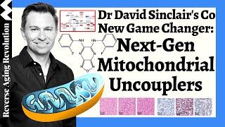 Dr David Sinclairs Co’s NEW Game Changer Next-Gen Mitochondrial Uncouplers