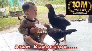 KEENJOY VS AYAM  LAGU AYAM KUKURUYUUK  Nursery Rhymes and Kids Song Bahasa Indonesia