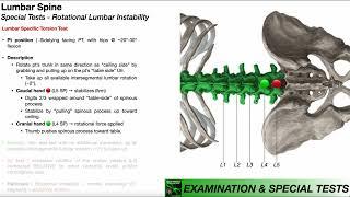 Specific Torsion Test for Lumbar Instability  Rationale & Interpretation