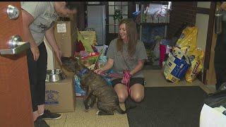 Humane agents with Animal Charity of Ohio busy checking on overheated animals