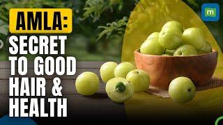 Amla The Secret Weapon For Health & Lustrous Hair Growth  Health News