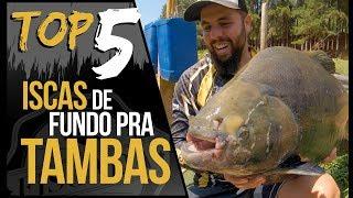 TOP 5 - MELHORES ISCAS DE FUNDO PRA TAMBA