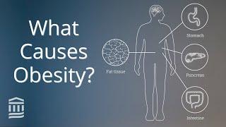 Obesity Causes Health Conditions and Treatment  Mass General Brigham