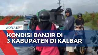 3 Kabupaten di Kalbar Berstatus Tanggap Darurat Banjir Begini Situasinya