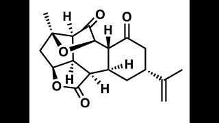 A Convergent Total Synthesis of +-Ineleganolide with Benjamin Gross