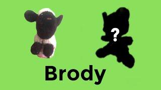 SDL Short Brody Reuploaded