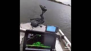 Unbelievable view of crappie feeding #fishing #crappie #garmin #livescope #crappiefishing #texas