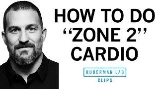 How & Why to Get Weekly Zone 2 Cardio Workouts  Dr. Andrew Huberman