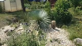 Gartenvideo