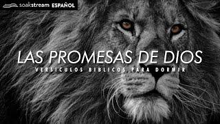 Las Promesas de Dios  Versiculos Biblicos Para Dormir