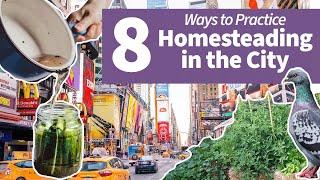 8 Ways to Practice Homesteading While Living in a City