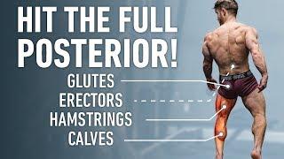 The Best Posterior Chain Focused Leg Day Glutes Hamstrings Lower Back