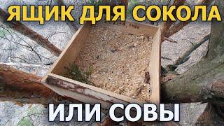 Ящики для соколов и сов