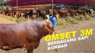 TABUNGAN SAPI KURBAN  UD. AMANAH JAYA MAGETAN SUKSES JUAL SAPI KURBAN 200 EKOR