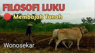 Filosofi Luku Membajak TanahSawah