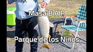 PESCA VOLVIERON LAS CARPAS GRANDES AL PARQUE DE LOS NIÑOS