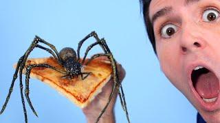 SPIDER ON PIZZA