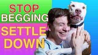 How to Teach your Dog to STOP BEGGING & SETTLE DOWN Right now