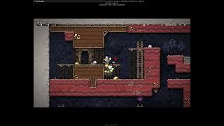 Spelunky 2 - a very easy setup to get cursed using a pot